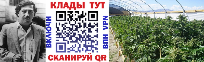 Альфа ПВП Тара