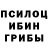 Галлюциногенные грибы Psilocybe Andrey Plodders
