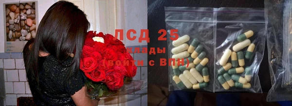 СК Алексин