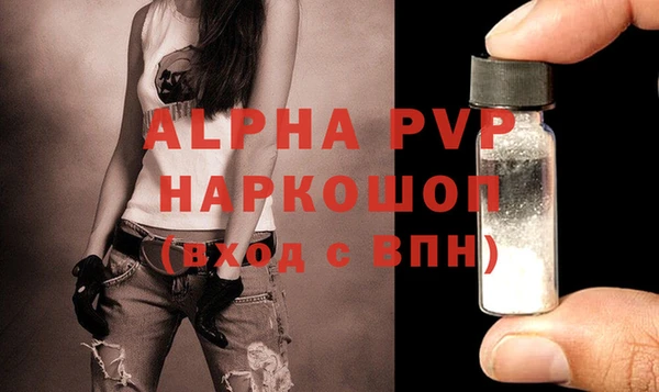 СК Алексин