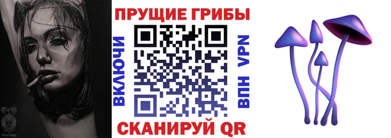 Псилоцибиновые грибы MAGIC MUSHROOMS Тара